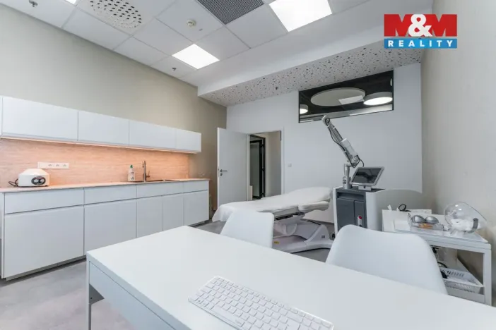 Pronájem komerční nemovitosti, Praha, Jihlavská, 30 m2