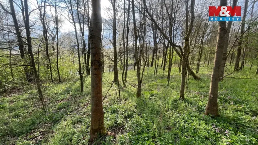 Prodej pole, Písek - Hradiště, 5135 m2