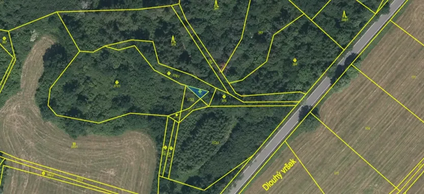 Prodej lesa, Kolinec - Buršice, 5195 m2