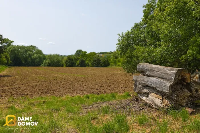 Prodej pozemku, Labuty, 553 m2