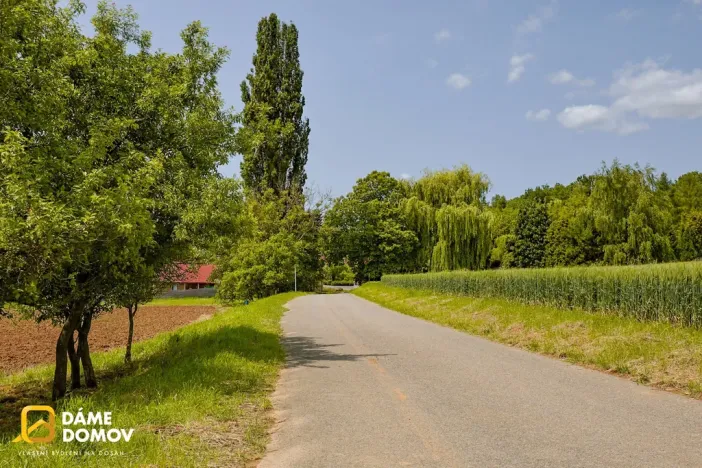 Prodej pozemku, Labuty, 553 m2