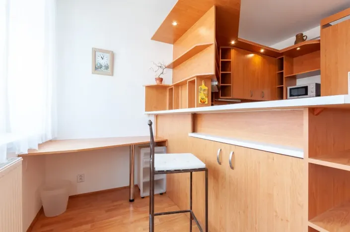 Pronájem bytu 1+kk, Praha - Žižkov, Jeseniova, 31 m2