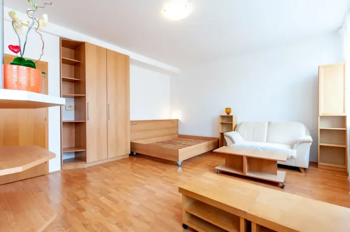 Pronájem bytu 1+kk, Praha - Žižkov, Jeseniova, 31 m2