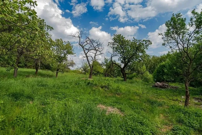 Prodej pozemku pro bydlení, Veliny, 1652 m2