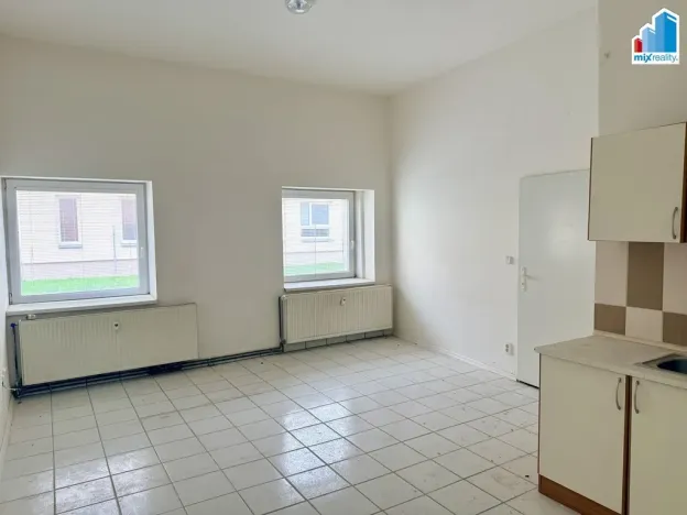 Prodej ubytování, Heřmanova Huť, Revoluční, 397 m2