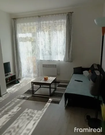 Pronájem bytu 3+1, Brno, Renneská třída, 42 m2