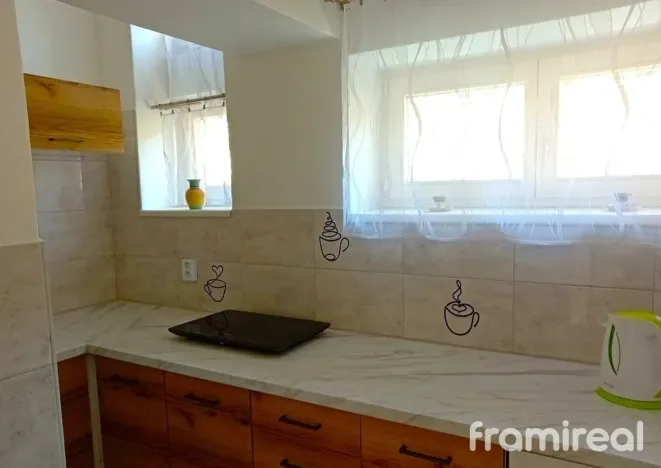 Pronájem bytu 3+1, Brno, Renneská třída, 42 m2