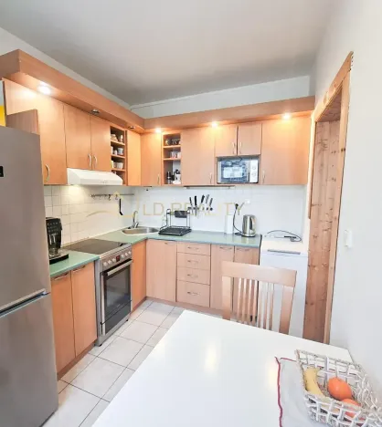 Pronájem bytu 2+1, Olomouc, Hněvotínská, 58 m2