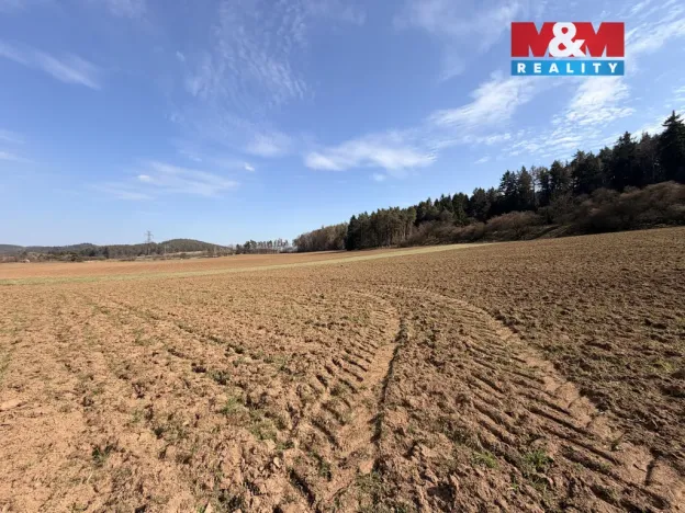 Prodej pole, Drevníky, 4478 m2