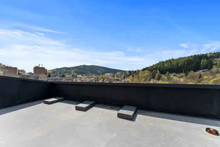 Prodej bytu 1+kk, Tanvald, Raisova, 22 m2