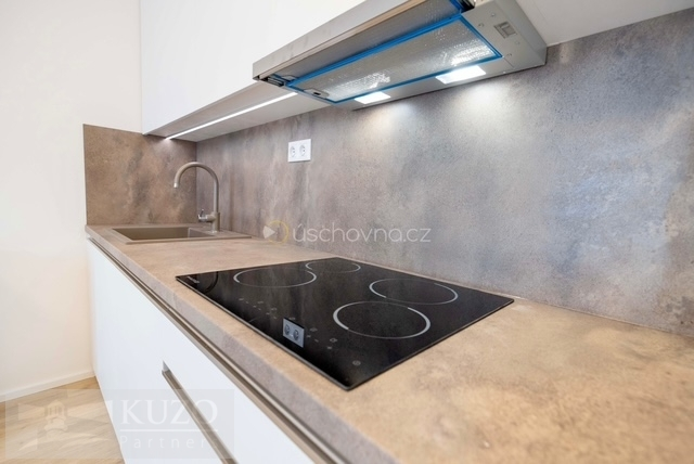 Prodej bytu 1+kk, Brno, Auerswaldova, 35 m2