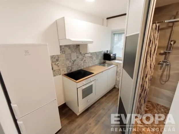 Pronájem bytu 1+1, Vševily, 30 m2