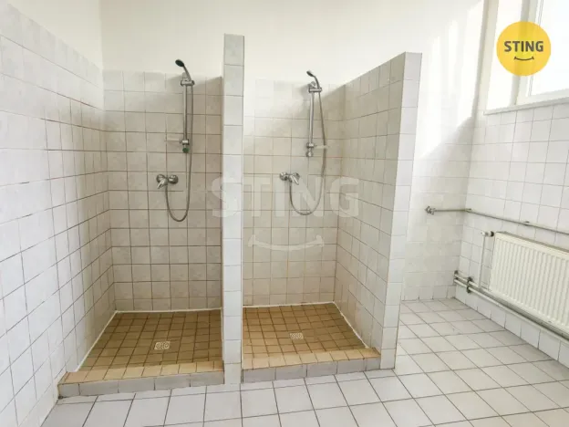 Pronájem skladu, Ostrava, Paskovská, 600 m2