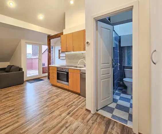 Pronájem bytu 2+kk, Brno, Mathonova, 62 m2