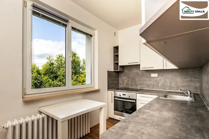 Prodej bytu 2+1, Cheb, 17. listopadu, 49 m2