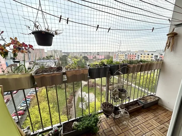 Prodej bytu 2+1, Pardubice, Luďka Matury, 71 m2