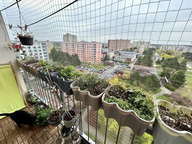 Prodej bytu 2+1, Pardubice, Luďka Matury, 71 m2