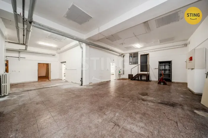 Prodej obchodního prostoru, Ostrava - Muglinov, Švédská, 530 m2