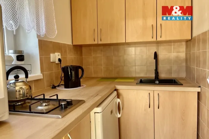 Prodej chaty, Homole - Nové Homole, 40 m2