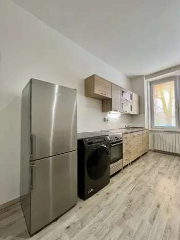 Pronájem bytu 1+1, Ostrava - Zábřeh, Březinova, 41 m2