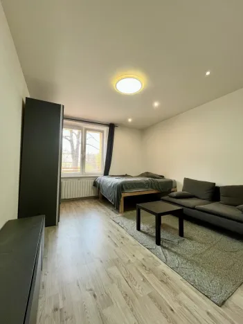 Pronájem bytu 1+1, Ostrava - Zábřeh, Březinova, 41 m2