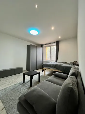 Pronájem bytu 1+1, Ostrava - Zábřeh, Březinova, 41 m2