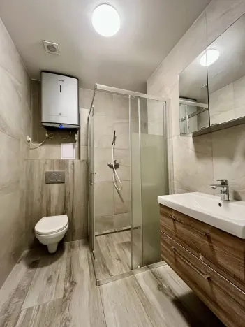 Pronájem bytu 1+1, Ostrava - Zábřeh, Březinova, 41 m2