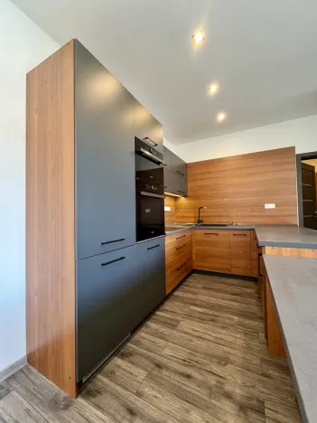 Pronájem bytu 3+kk, Ostrava - Heřmanice, Koněvova, 59 m2