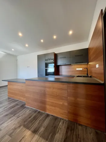 Pronájem bytu 3+kk, Ostrava - Heřmanice, Koněvova, 59 m2