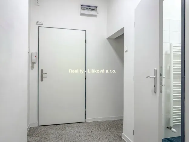 Prodej bytu 2+kk, Ústí nad Labem - Střekov, Purkyňova, 48 m2