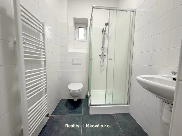 Prodej bytu 2+kk, Ústí nad Labem - Střekov, Purkyňova, 48 m2