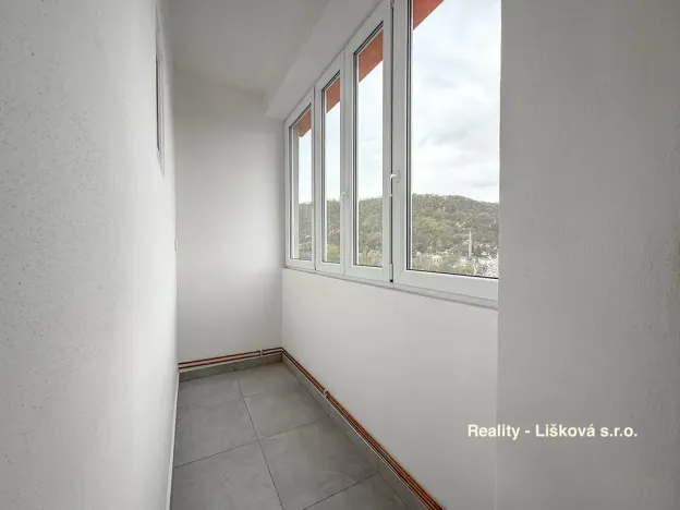 Prodej bytu 2+kk, Ústí nad Labem - Střekov, Purkyňova, 48 m2