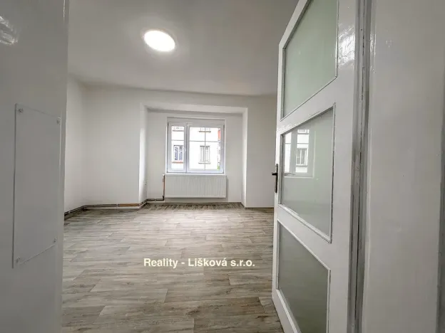 Prodej bytu 2+kk, Ústí nad Labem - Střekov, Purkyňova, 48 m2