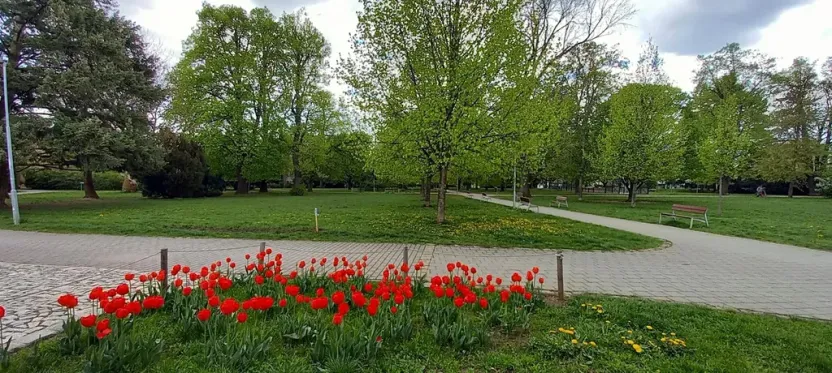 Pronájem bytu 1+kk, Brno, Volejníkova, 23 m2