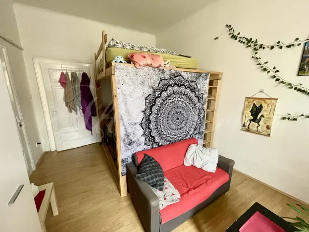 Pronájem bytu 2+1, Brno - Staré Brno, Pekařská, 62 m2