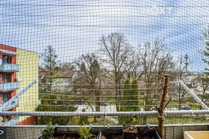 Prodej bytu 3+1, Borovany, Nová, 65 m2