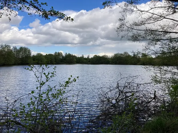 Pronájem bytu 2+kk, Říčany, Leknínová, 50 m2