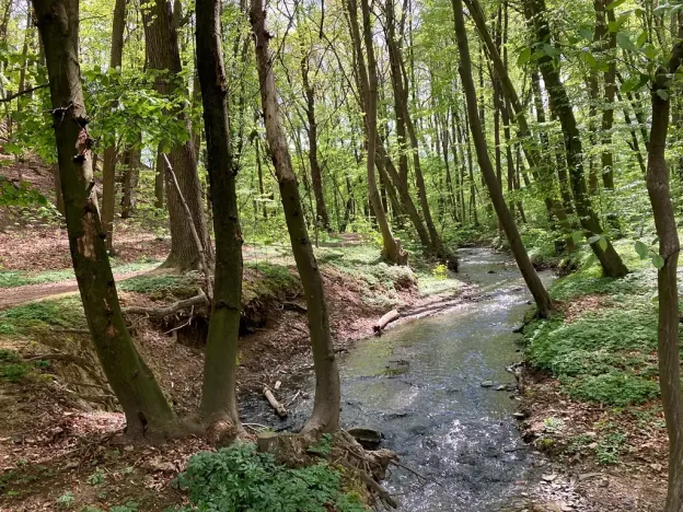 Pronájem bytu 2+kk, Říčany, Leknínová, 50 m2