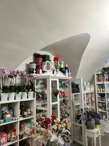 Pronájem obchodního prostoru, Kolín, 80 m2