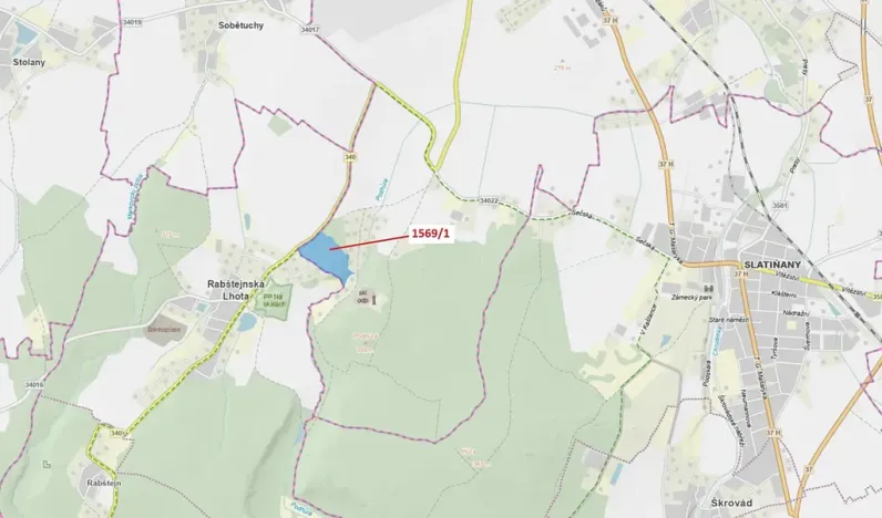 Dražba lesa, Chrudim, 59928 m2