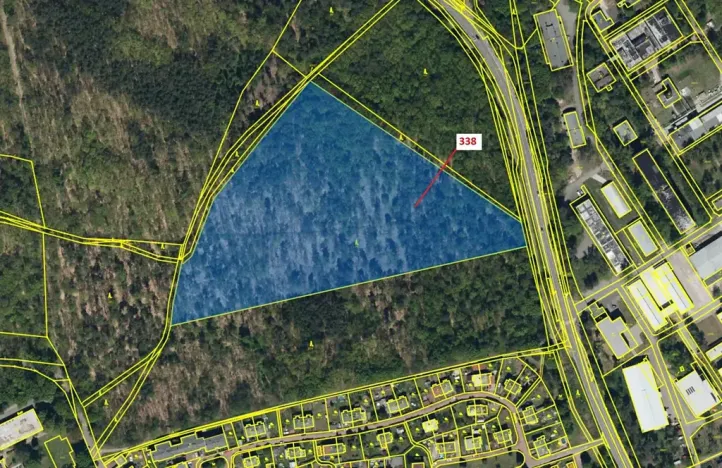 Dražba lesa, Rybitví, 37060 m2