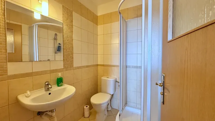 Pronájem bytu 1+kk, Brno, Mikšíčkova, 22 m2