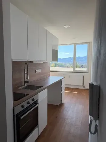 Pronájem bytu 1+kk, Liberec, Březová alej, 22 m2