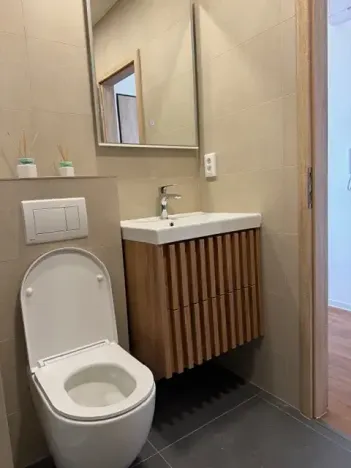 Pronájem bytu 1+kk, Liberec, Březová alej, 22 m2