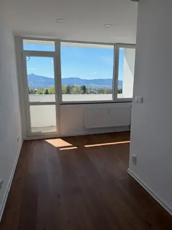 Pronájem bytu 1+kk, Liberec, Březová alej, 22 m2