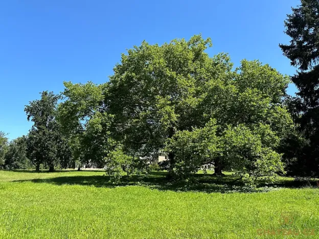 Prodej bytu 3+kk, Býchory, 81 m2