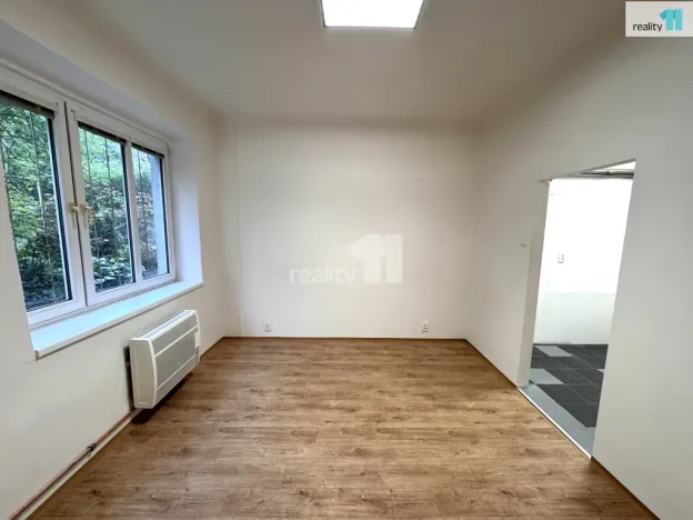 Pronájem bytu 2+kk, Praha - Žižkov, Biskupcova, 45 m2