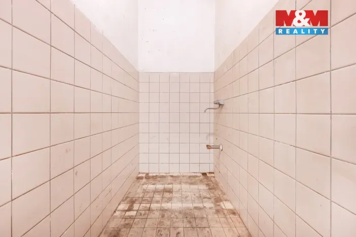 Pronájem výrobních prostor, Domažlice - Bezděkovské Předměstí, Masarykova, 770 m2