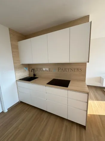 Pronájem bytu 1+kk, Ostrava - Slezská Ostrava, U Hájenky, 38 m2