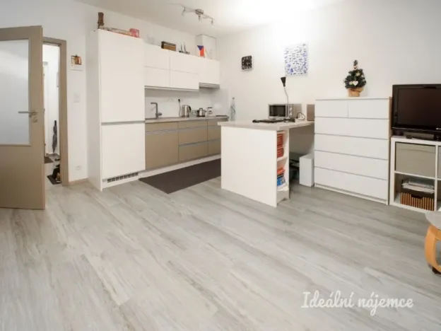 Pronájem bytu 1+kk, Brno - Žebětín, Lišejníková, 35 m2